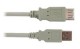 USB Extension Cable - Click for more info...