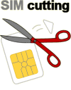 Sim Cutting
